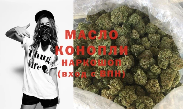 гидра Новодвинск