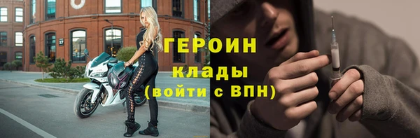 гидра Новодвинск