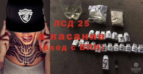 гидра Новодвинск