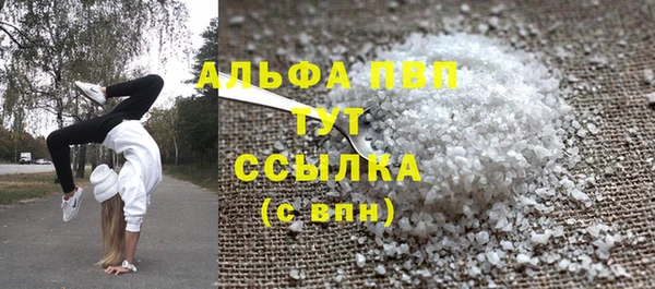 гидра Новодвинск