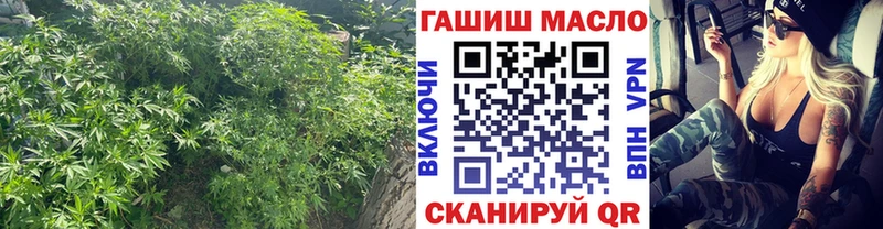 дарнет шоп  Николаевск  Дистиллят ТГК Wax 